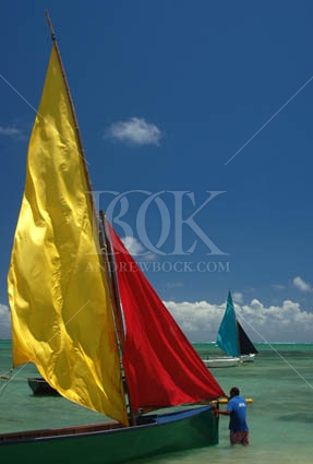 Copyright Andrew Bock. All rights protected.